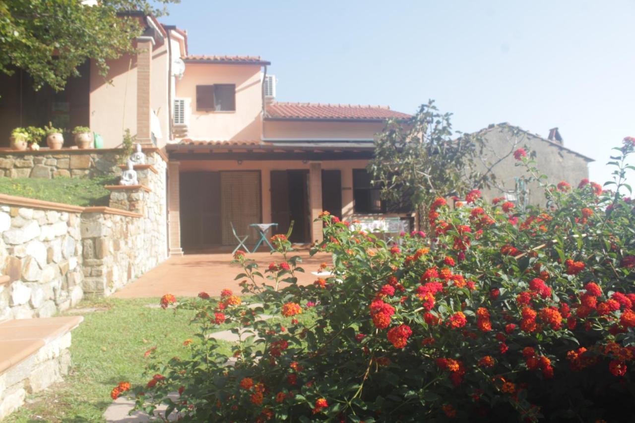 Shanti Yoga & Meditation Apartment *