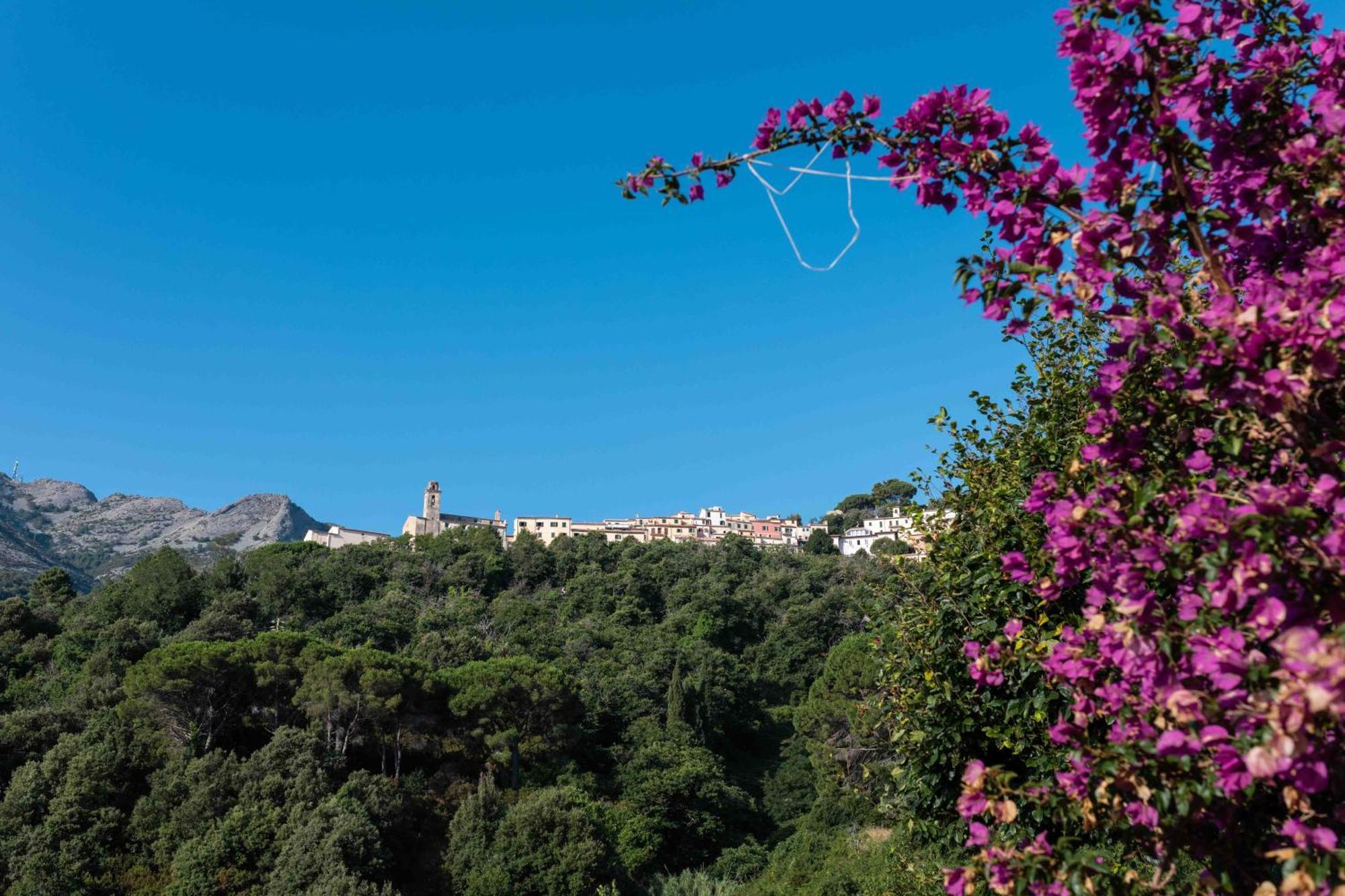 Shanti Yoga & Meditation Apartment Marciana (Isola d'Elba)