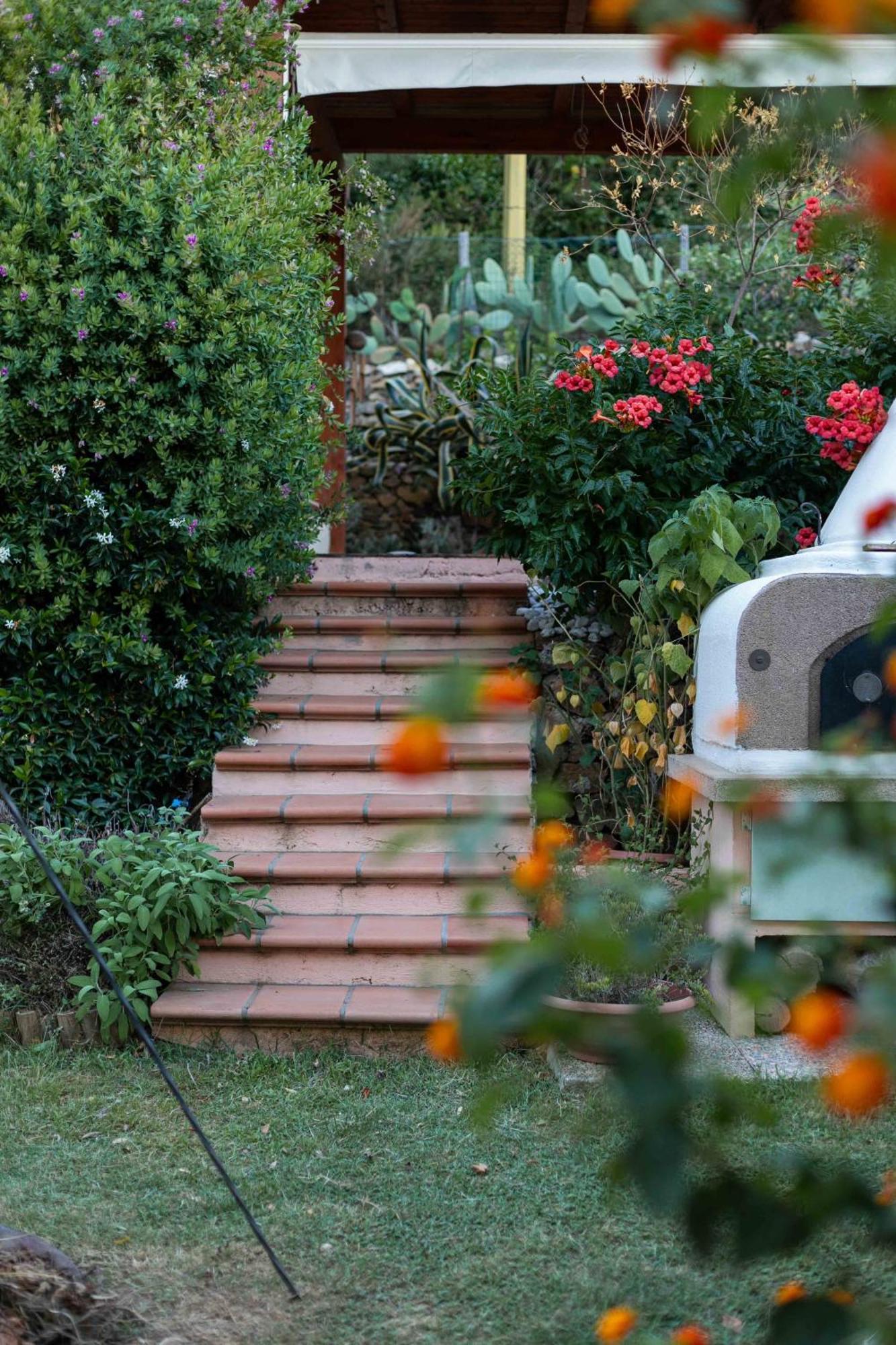 Shanti Yoga & Meditation Apartment Marciana (Isola d'Elba)